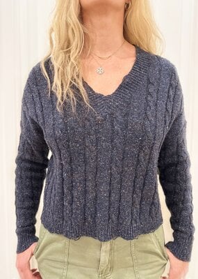 Autumn Cashmere Distressed Crop V Neck Cable Sweater