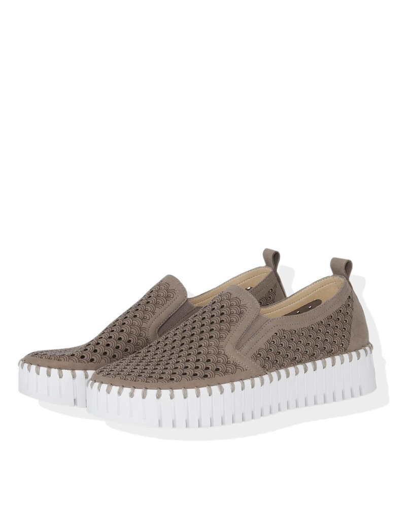 Ilse Jacobsen Tulip Platform