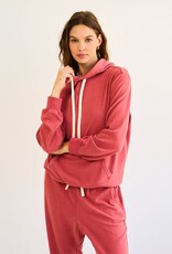 Scout Phoebe Hoodie