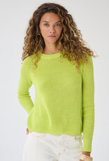 Autumn Cashmere Scallop Shaker