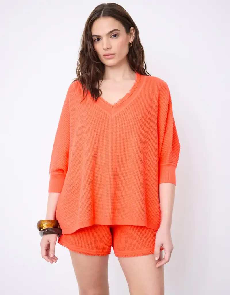 Not Shy Leah Sweater