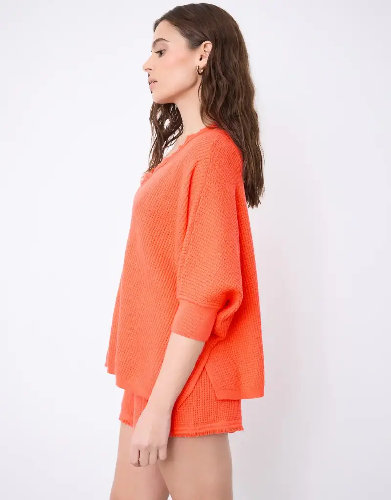 Not Shy Leah Sweater