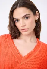 Not Shy Leah Sweater