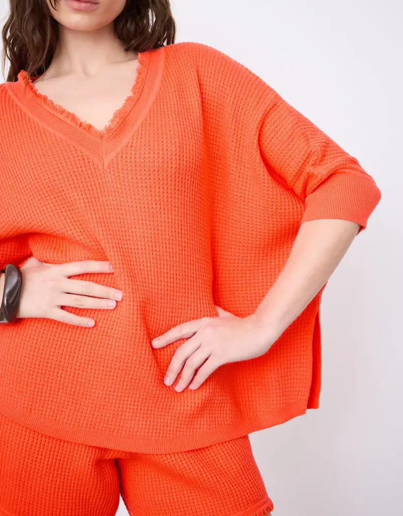 Not Shy Leah Sweater