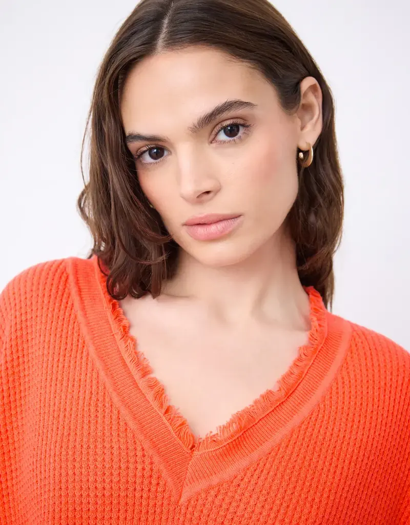 Not Shy Leah Sweater