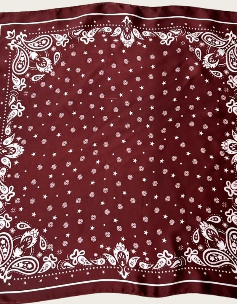 Scout Paisley Scarf
