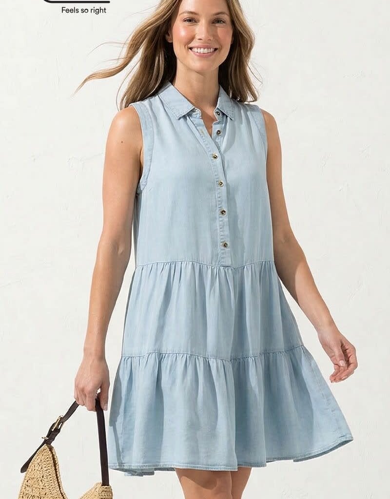 Scout Trish Button Down Dress
