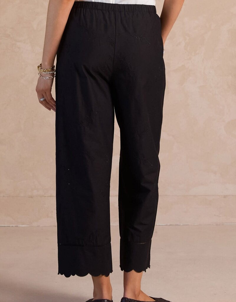 Scout Nerina Pant