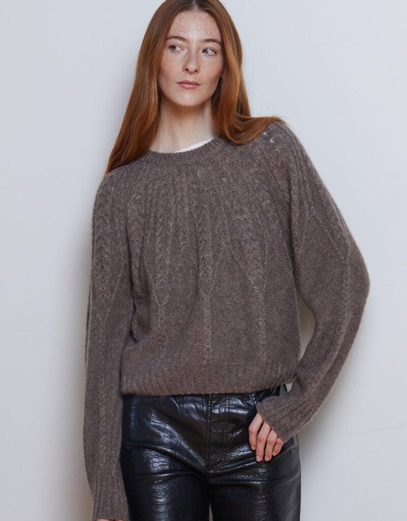 Autumn Cashmere Cable Yoke Crew