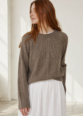 Autumn Cashmere Cable Yoke Crew