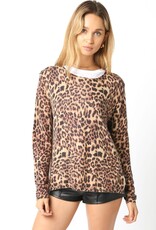 Scout Noah Knit