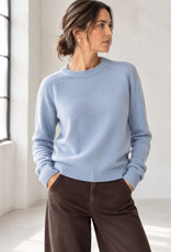 Not Shy Pansy Knit