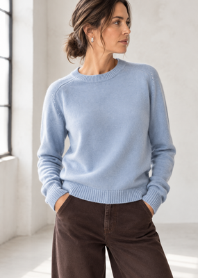 Not Shy Pansy Knit