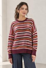 Not Shy Milu Stripe Knit