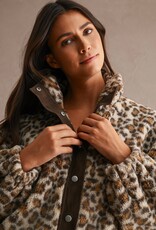 Scout Leopard Sherpa
