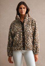 Scout Leopard Sherpa