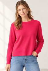 Not Shy Becka Knit