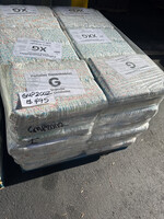 Penny Diapers GMP2002