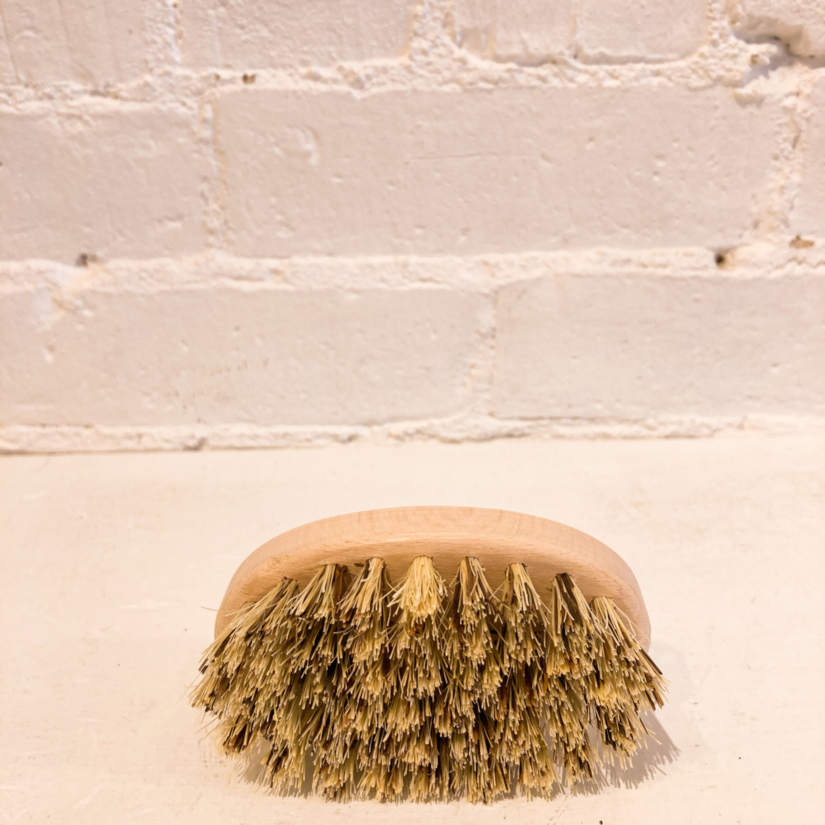 Mussel Brush