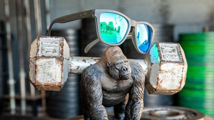 Goodr OGs Sunglasses - Silverback Squat Mobility