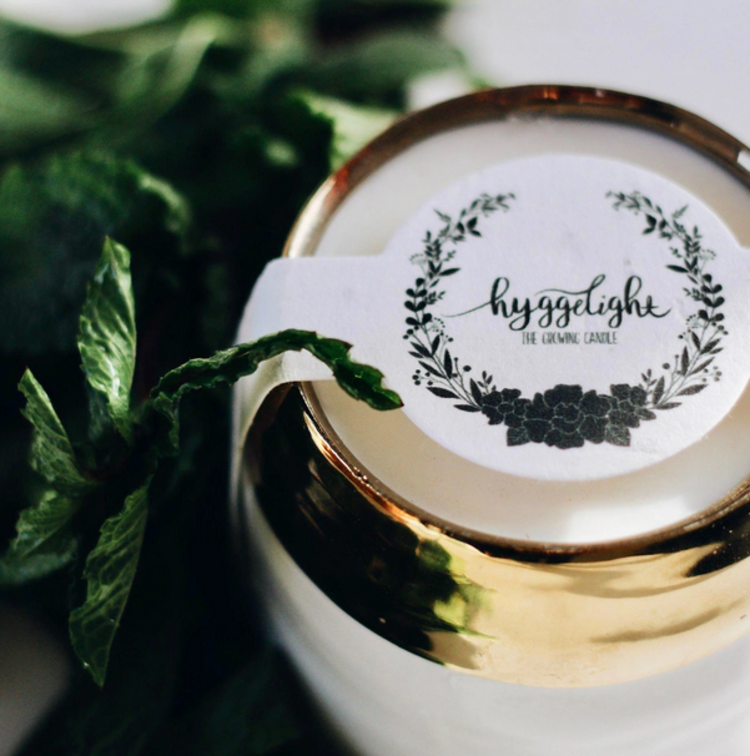 Hyggelight Clara - 10 oz Soy Growing Candle