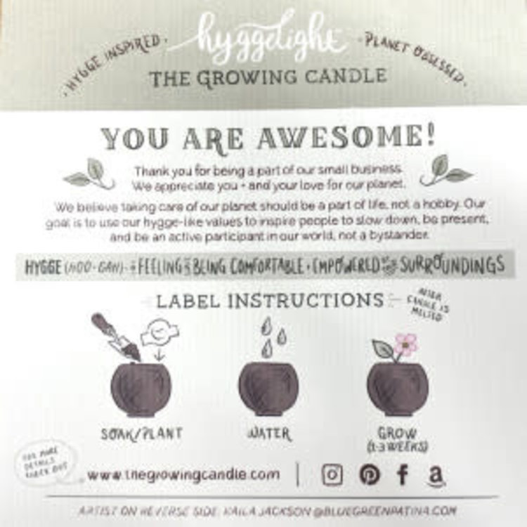 Hyggelight Clara - 10 oz Soy Growing Candle