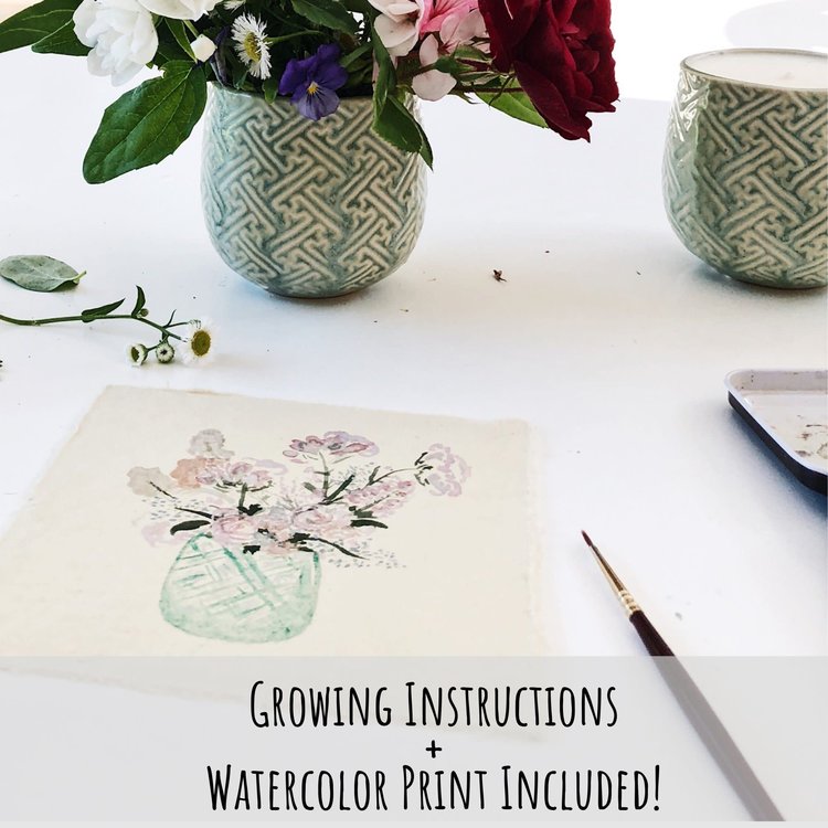 Hyggelight Ida -  10 oz Soy Growing Candle