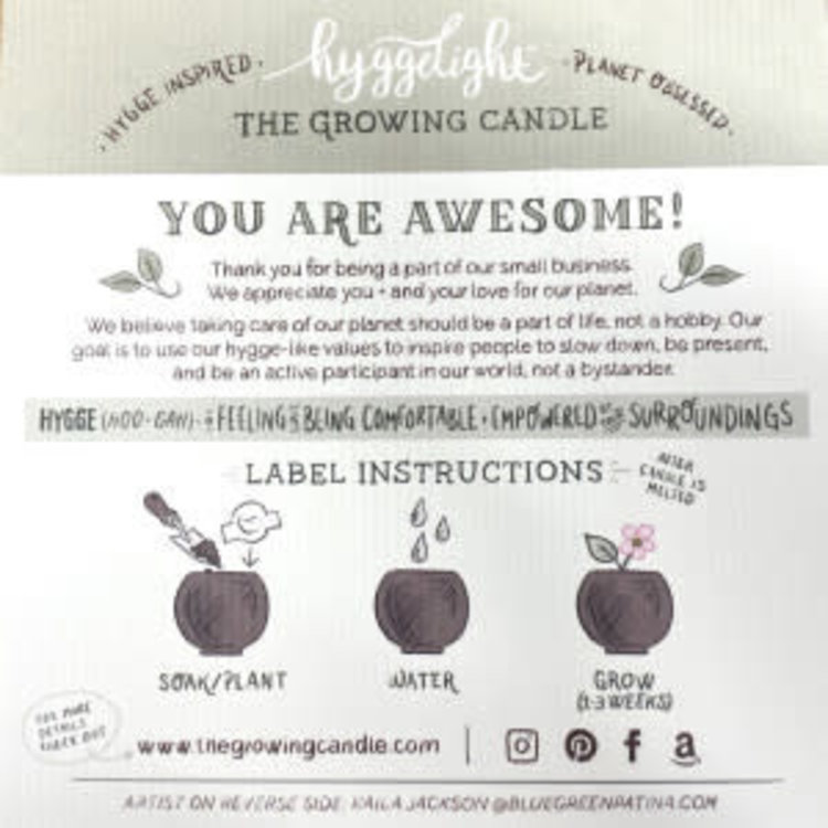 Hyggelight Ida -  10 oz Soy Growing Candle