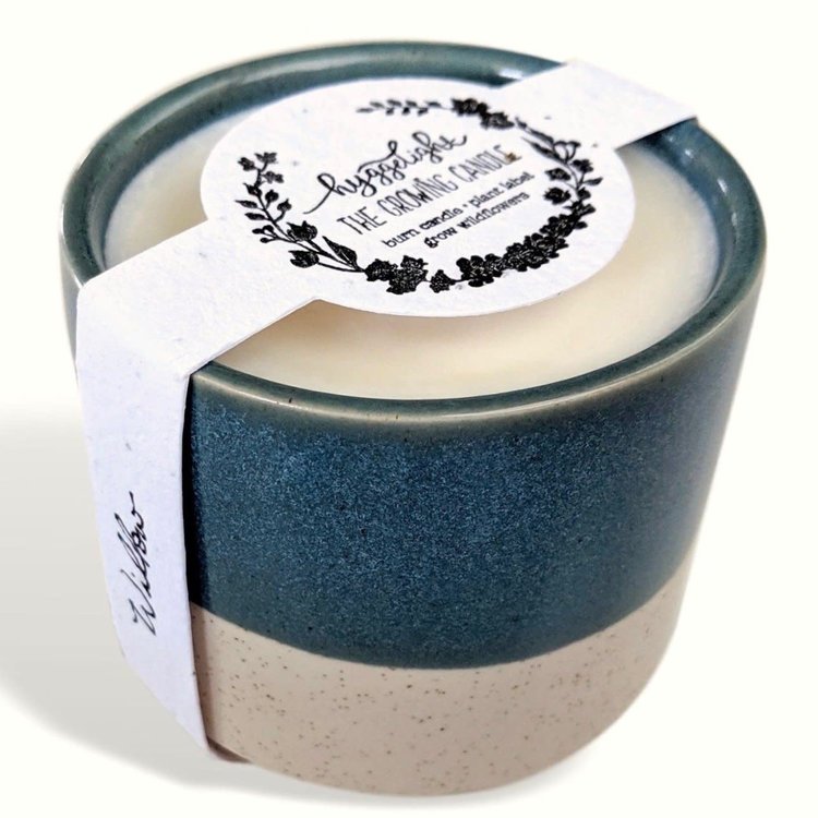 Hyggelight Willow - 10 oz Soy Growing Candle