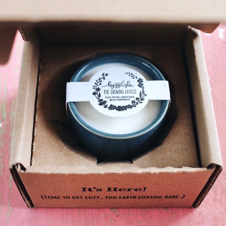 Hyggelight Willow - 10 oz Soy Growing Candle