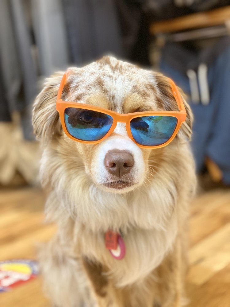 Goodr OGs Sunglasses - Donkey Goggles