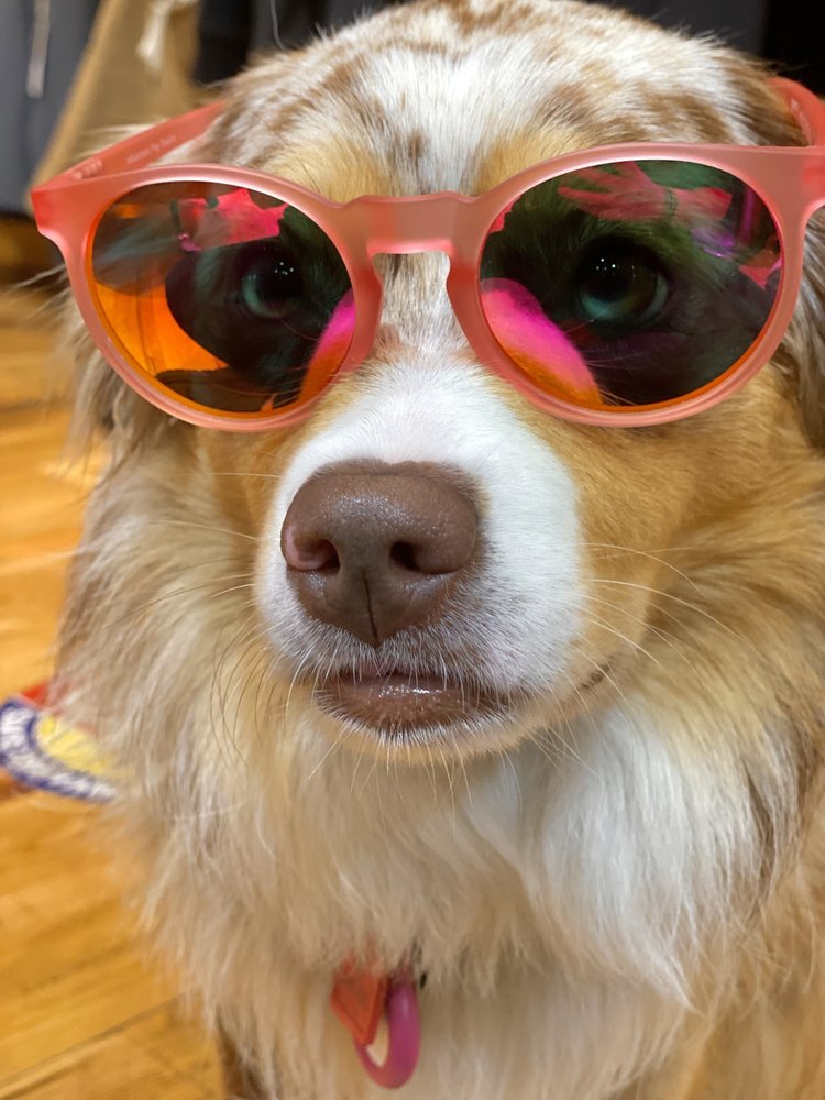 Goodr Circle Gs Sunglasses - Influencers Pay Double