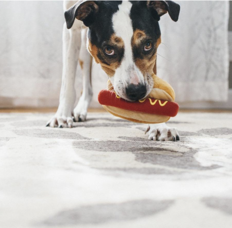 P.L.A.Y Hot Diggity Dog - Toy