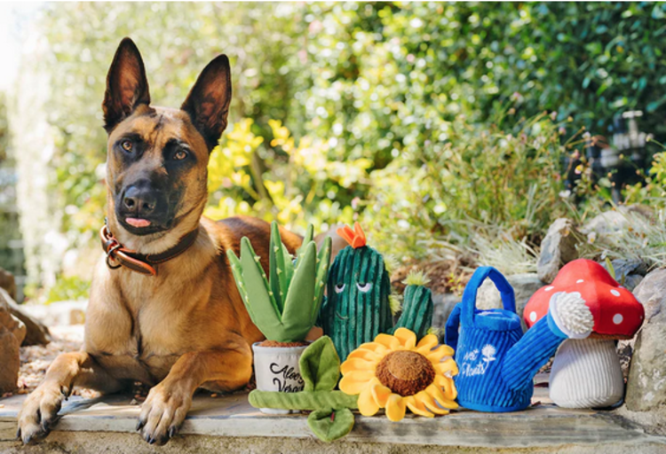 P.L.A.Y Blooming Buddies - Aloe-ve You Plant - Dog Toy
