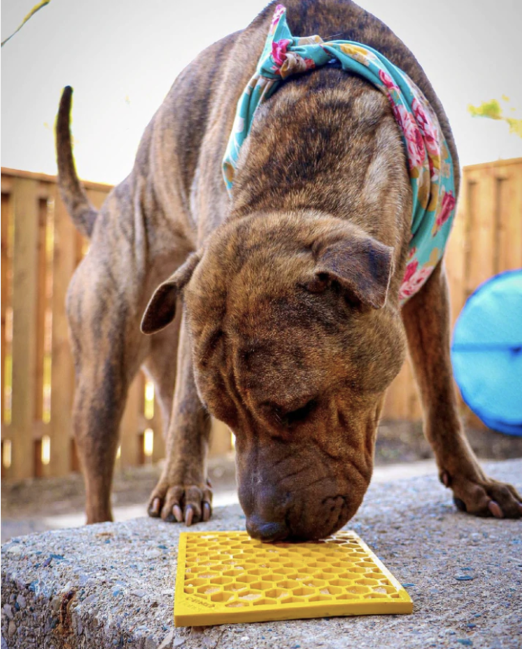 SodaPup Honeycomb Design Enrichment Lick Mat - Yellow - Large