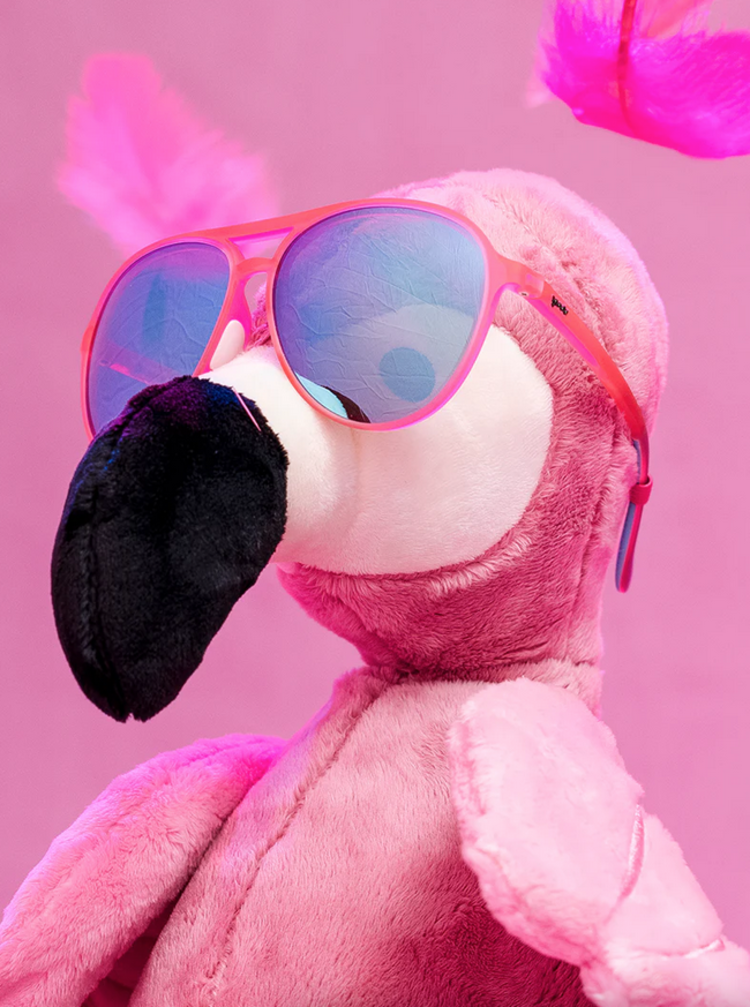 Goodr Mach Gs - Carl is My Co-Pilot