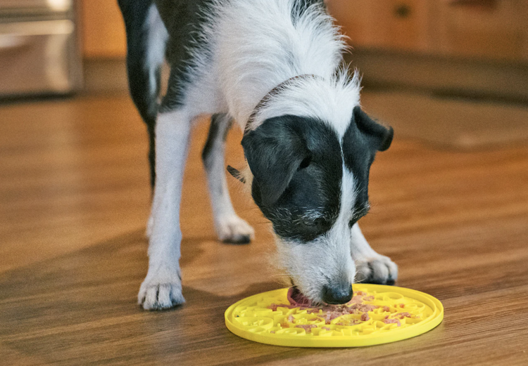 P.L.A.Y ZoomieRex Lick Mat - Pineapple - Large