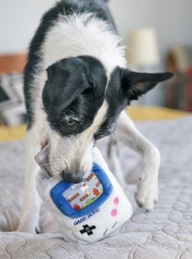 P.L.A.Y 90s Classic Game Bone - Dog Toy