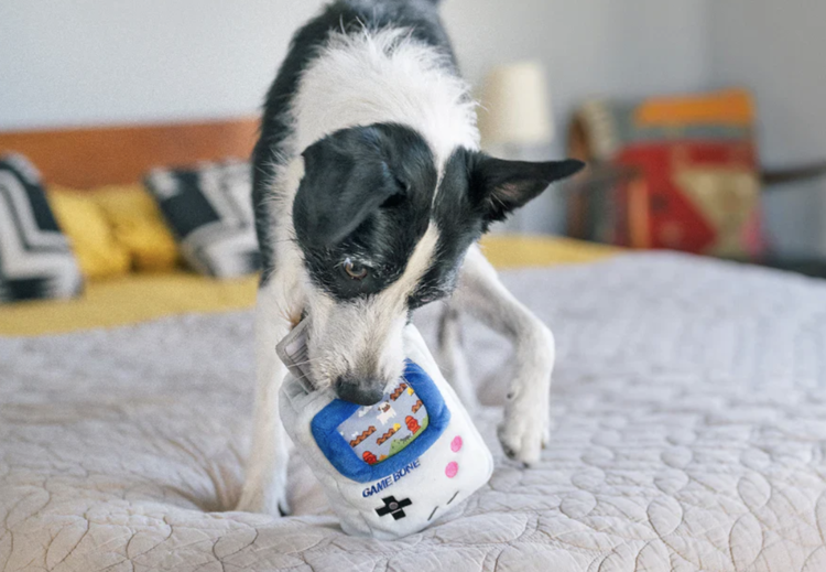 P.L.A.Y 90s Classic Game Bone - Dog Toy