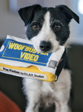 P.L.A.Y 90s Classic Video Tape - Dog Toy