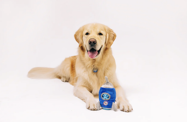 P.L.A.Y Alien Buddy - Starblaster