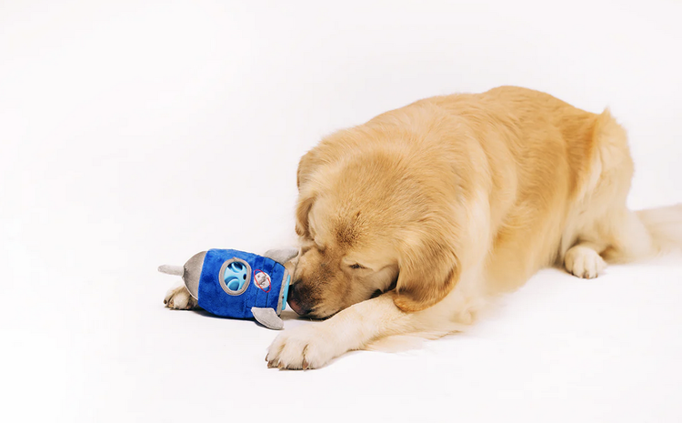 P.L.A.Y Alien Buddy - Starblaster