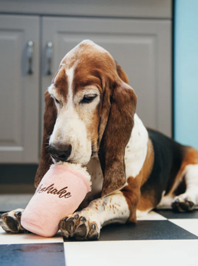 P.L.A.Y Classic Mini Milkshake - Dog Toy