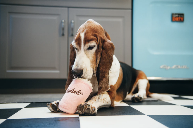 P.L.A.Y Classic Mini Milkshake - Dog Toy