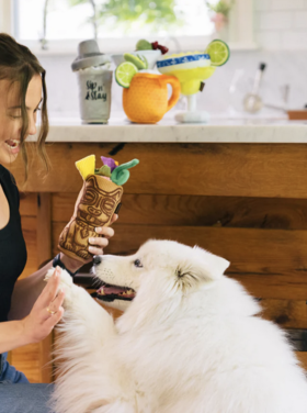 P.L.A.Y Barktender Coll. - Tiki Time - Dog Toy