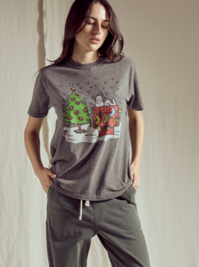 People of Leisure Peanuts Charlie Brown's Christmas Tee - Heather