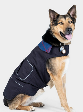 Dovetail Workwear Shop Dog Jacket Dog - Black