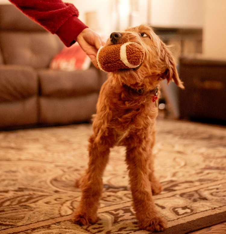 Pet Palette Distribution Thoozypet Football Plush Dog Toy 6.5"