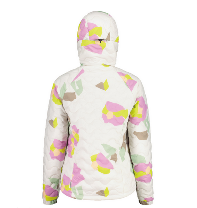 Maloja ChrysanthenumM. - Shaded White Fieldflower