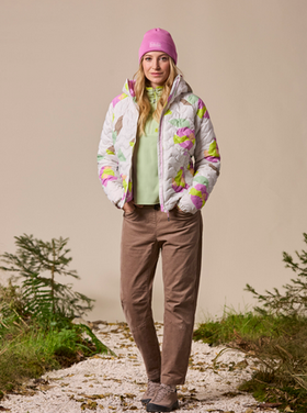 Maloja ChrysanthenumM. - Shaded White Fieldflower